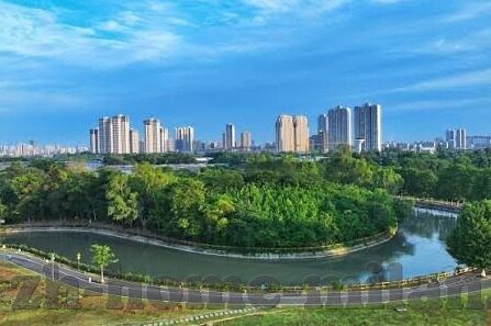 09vs足球比分-09vs足球比分，一场跨越时光的数字与激情碰撞