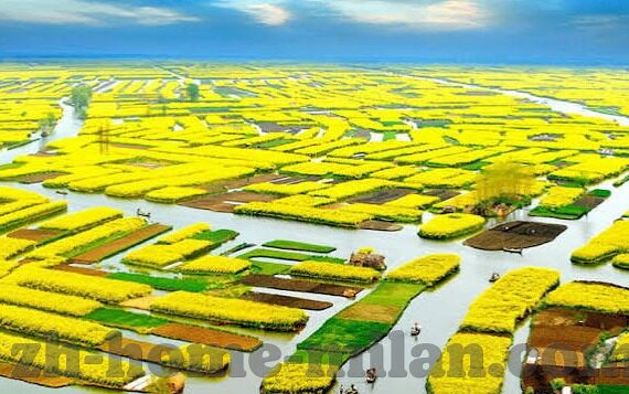 乐鱼体育是不是真的-乐鱼体育，真实性之探讨